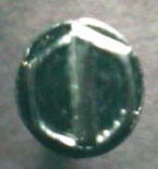 Picture of a slotted hex head combo screw.